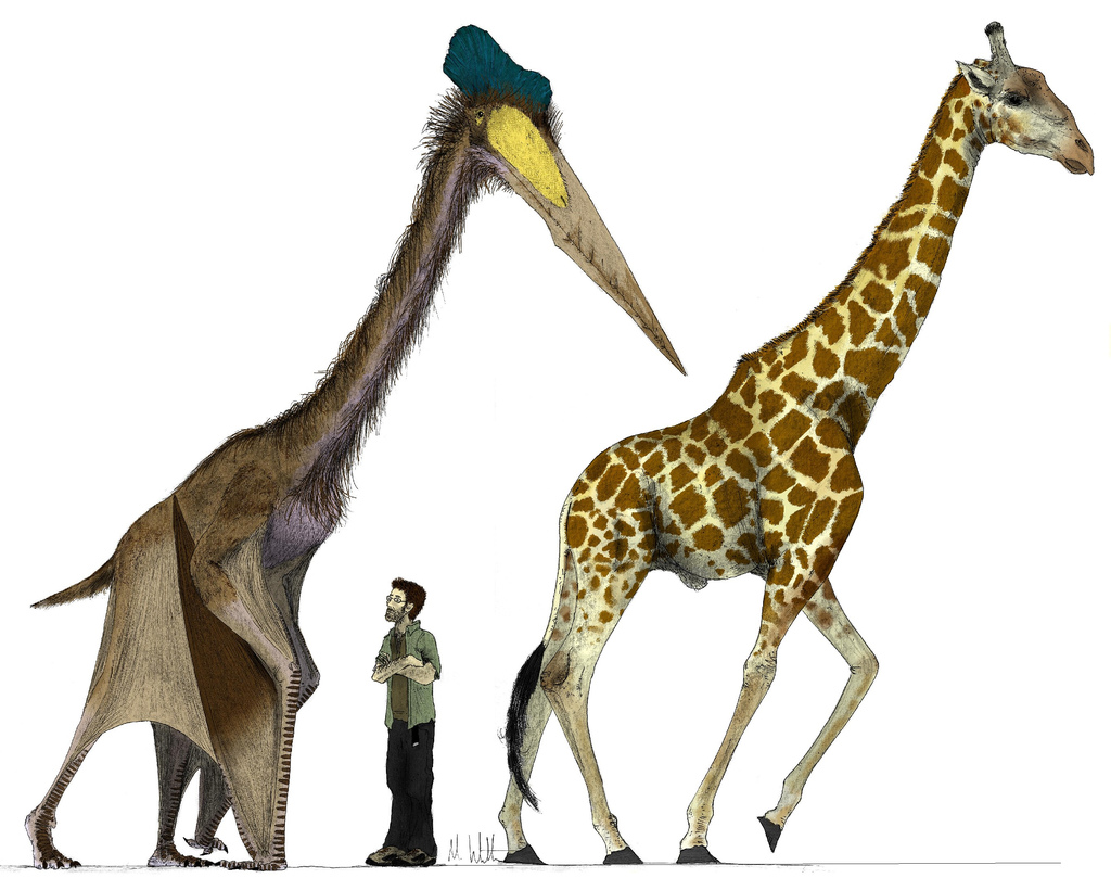 how a bulked-up Quetzalcoatlus would compare to a giraffe